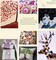 500-700 PCS Assorted Mixed Color Resin Buttons 2 and 4 Holes Round Craft for Sewing DIY Crafts Children's Manual Button Painting,DIY Handmade Ornament